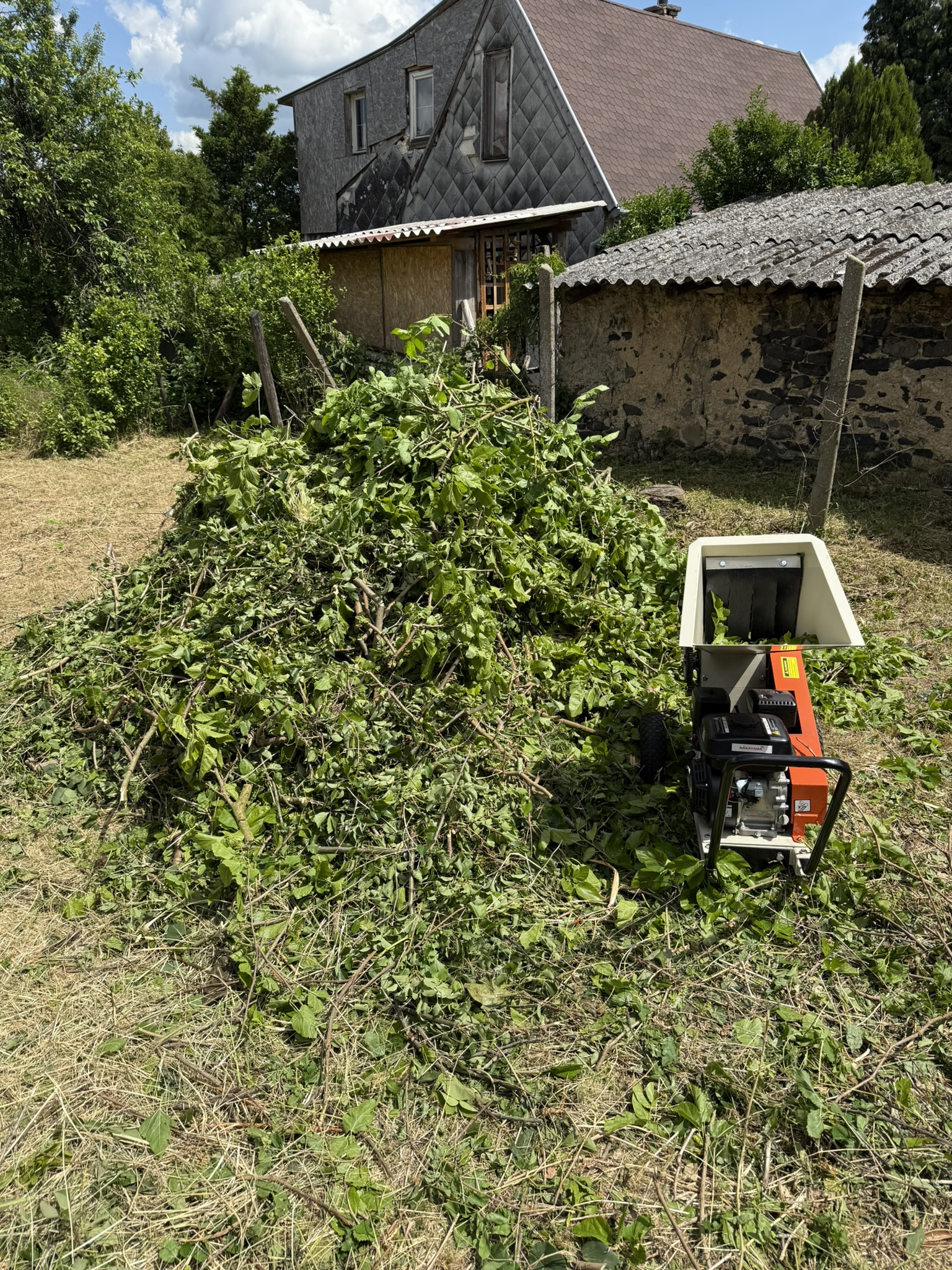Lesencetomaj ágdarálás